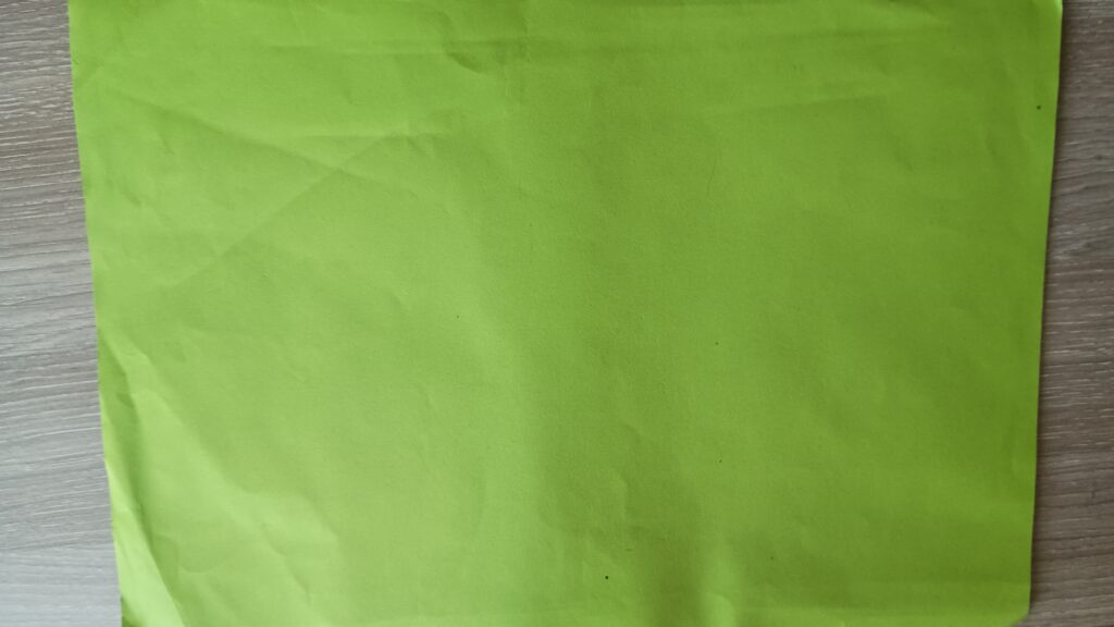 My "professional" greenscreen